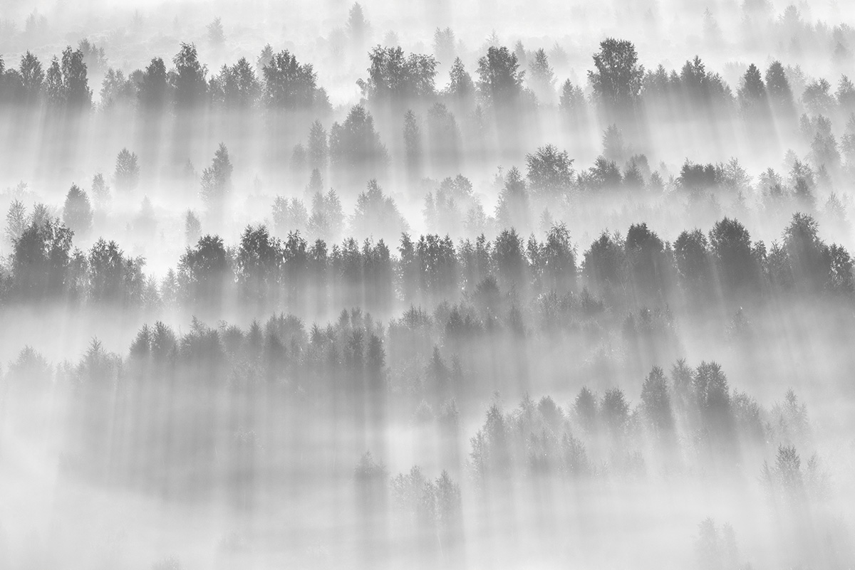 Dance of light and fog