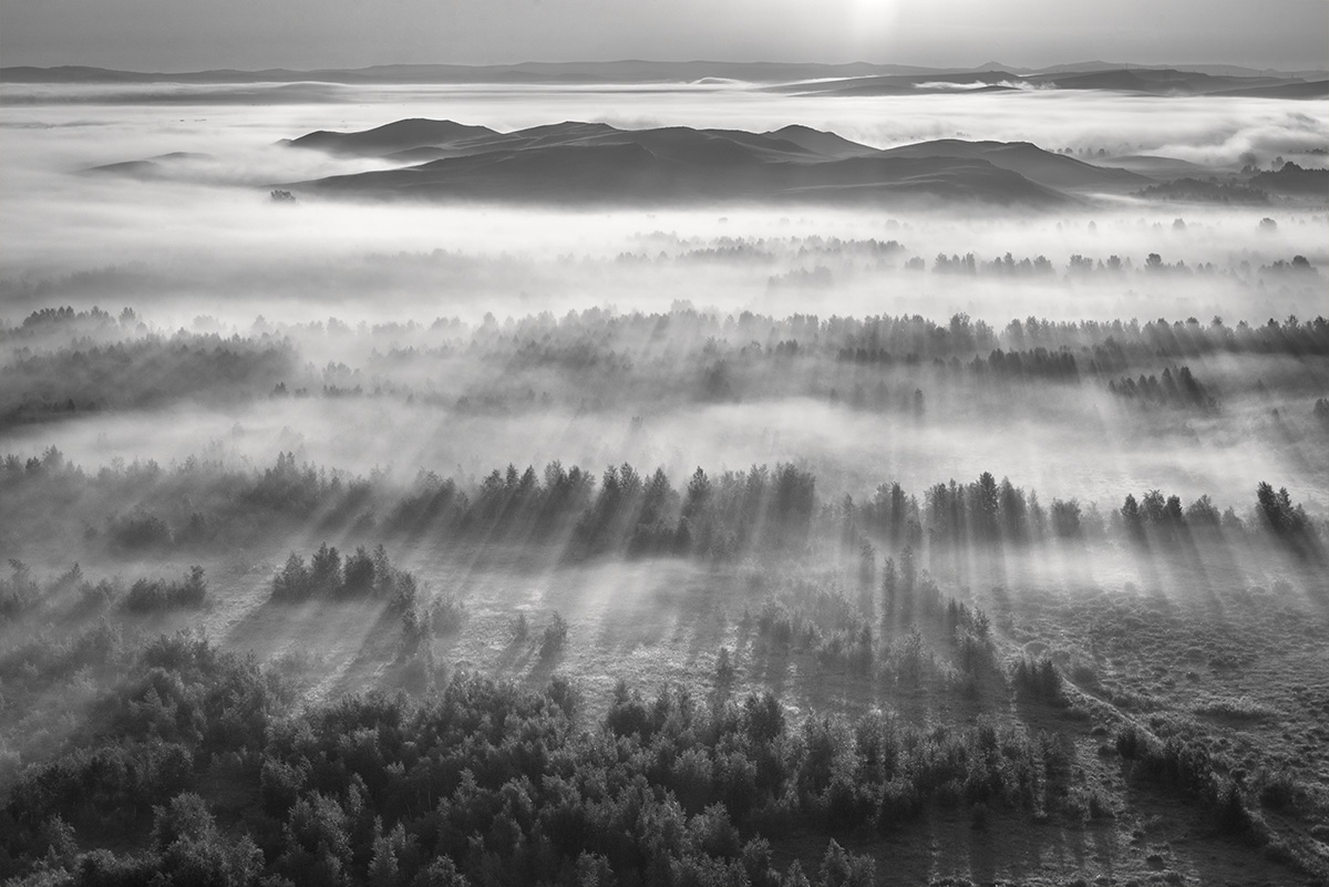 Dance of light and fog