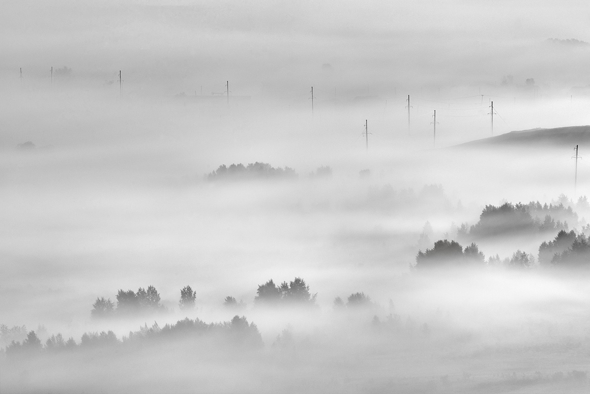 Dance of light and fog