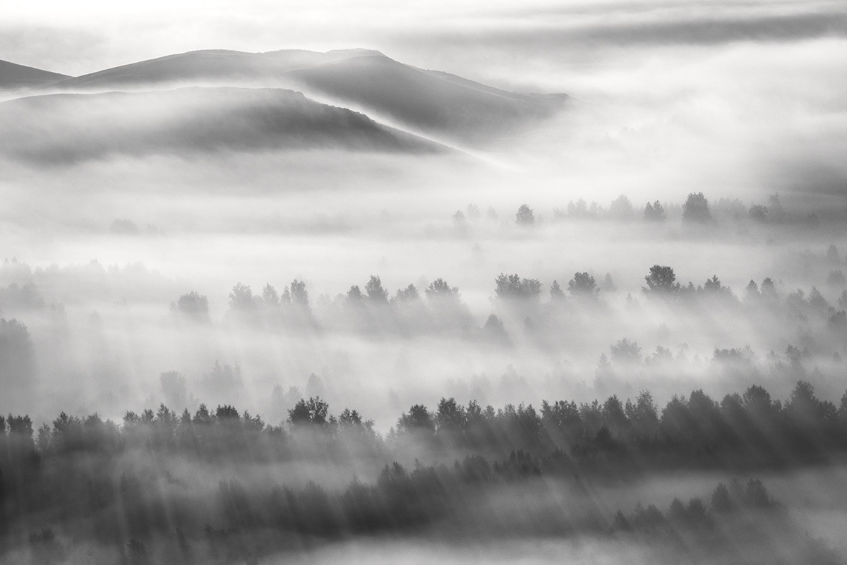 Dance of light and fog