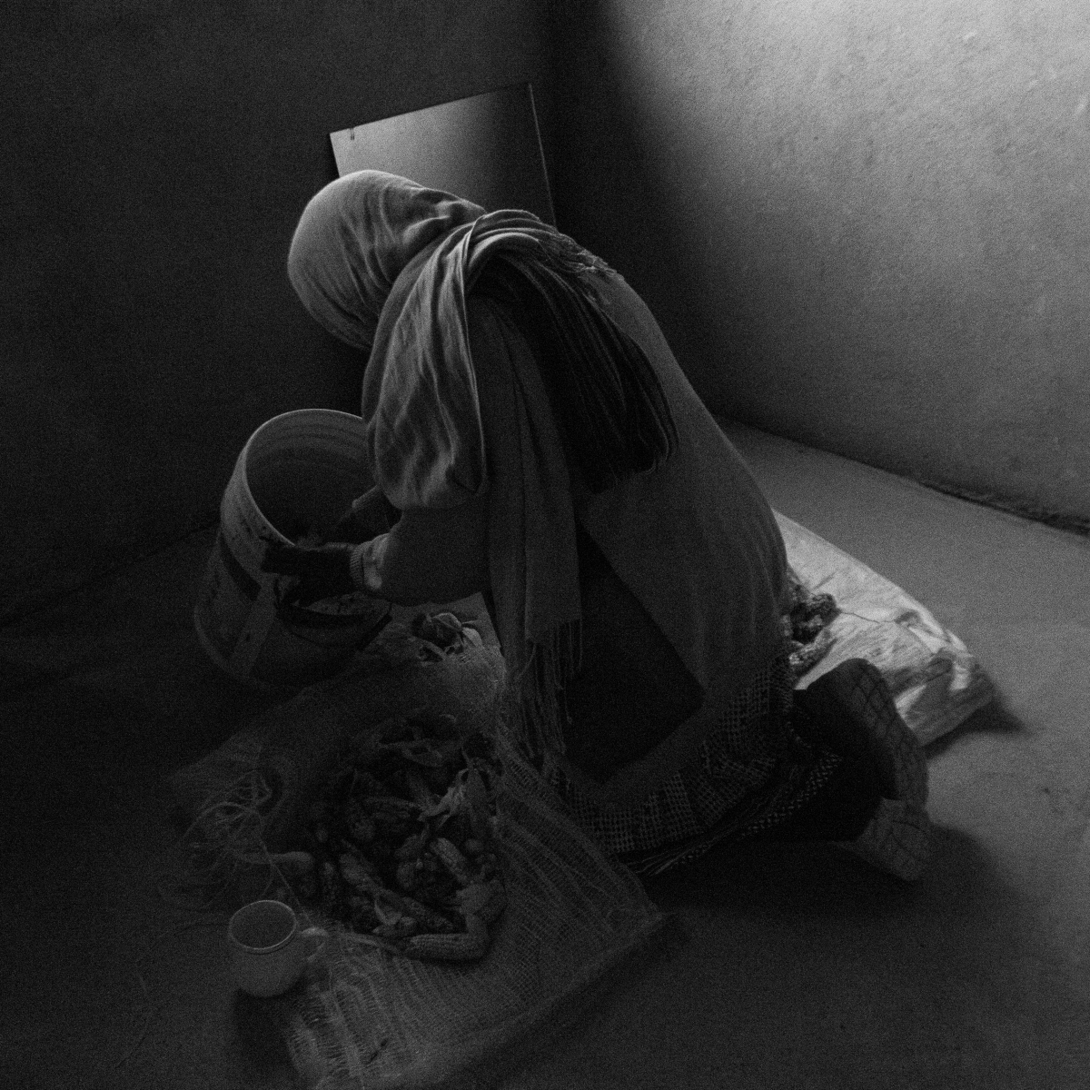 Selección de maíz a la luz de una ventana 