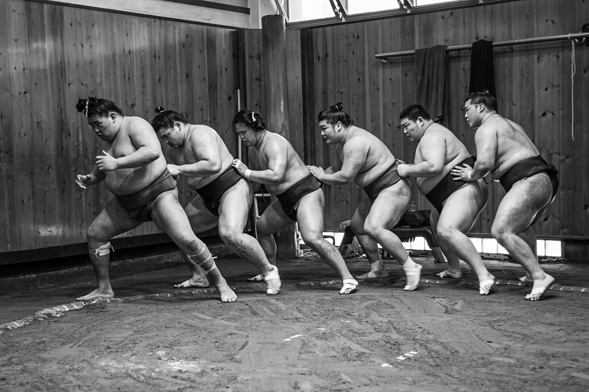 Sumos dance