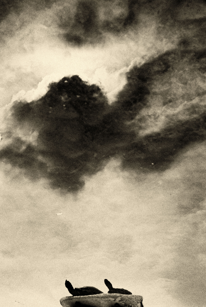 Fragments of Memory  - A Flow of Impermanence and No-Self -