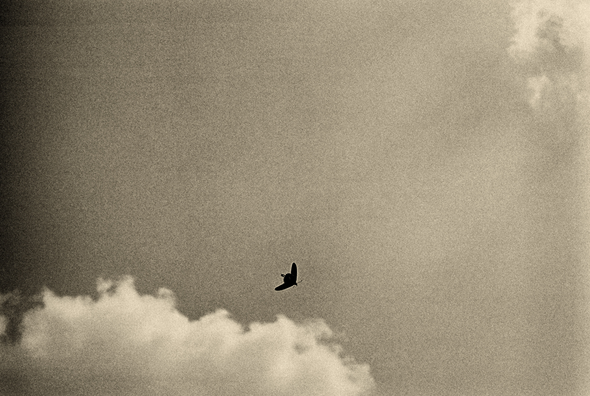 Fragments of Memory  - A Flow of Impermanence and No-Self -