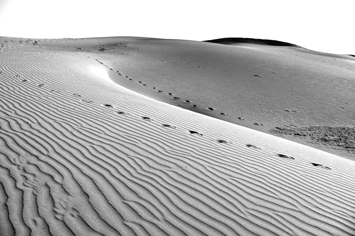 Alter Desert