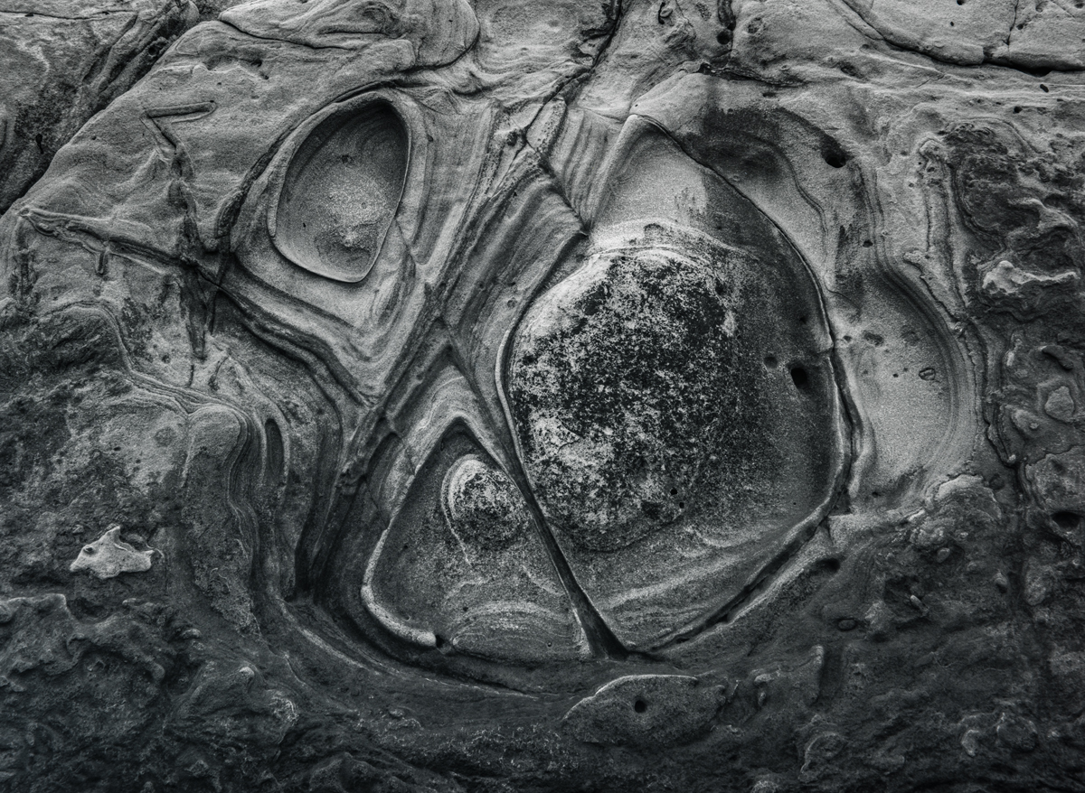 Point Lobos, CA 1984