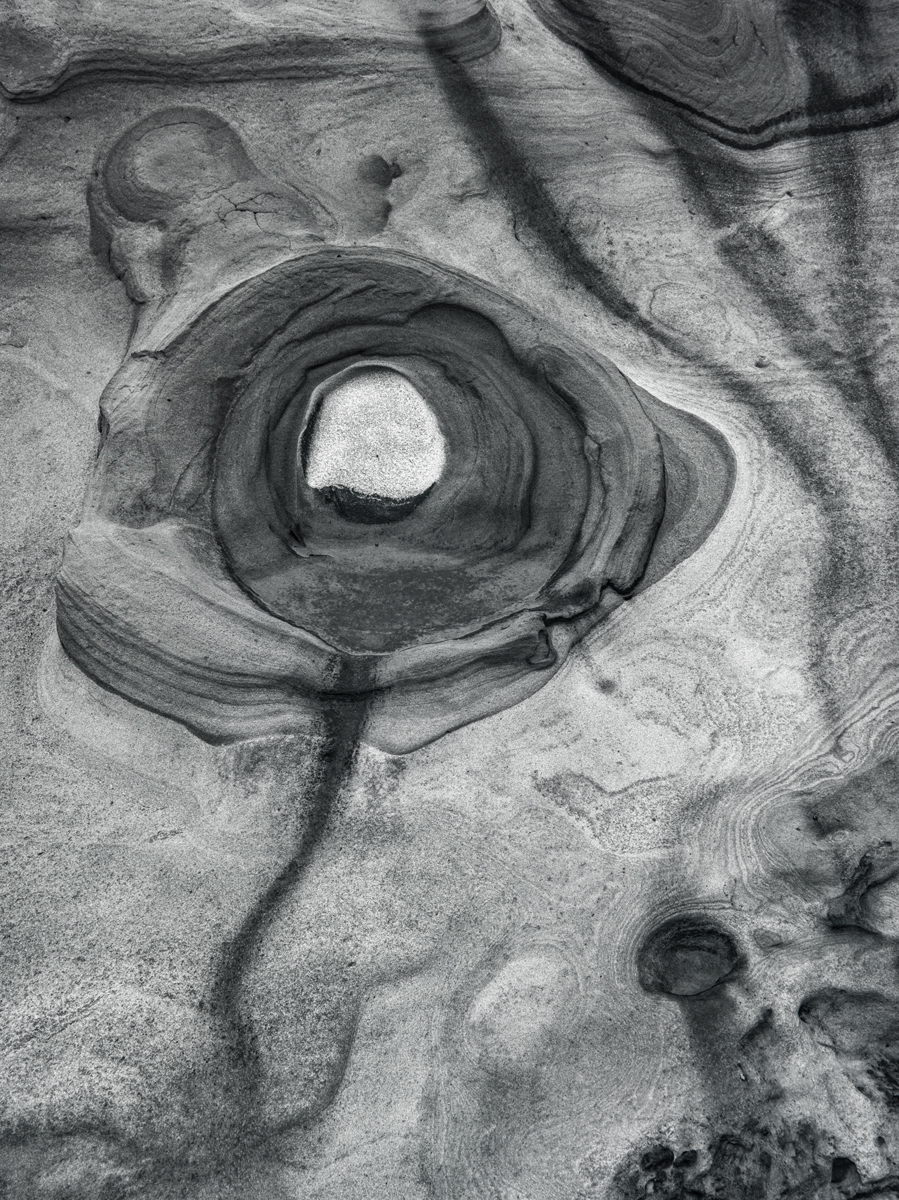 Point Lobos, CA 1984
