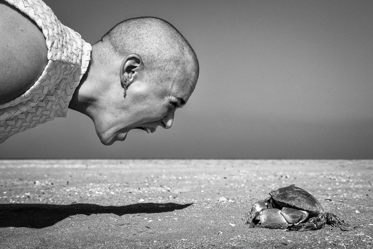 Regard sur le Combat