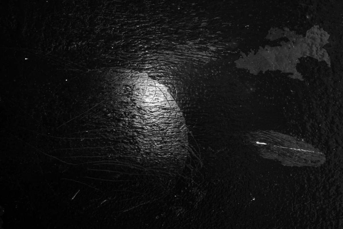 THE BIRTH OF ARTIFICIAL INTELLIGENCE