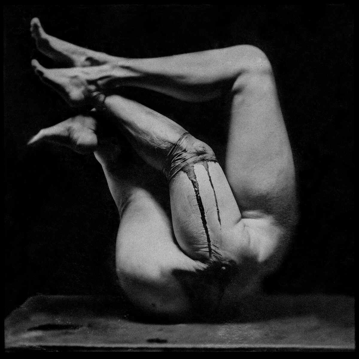 In the folds of the night