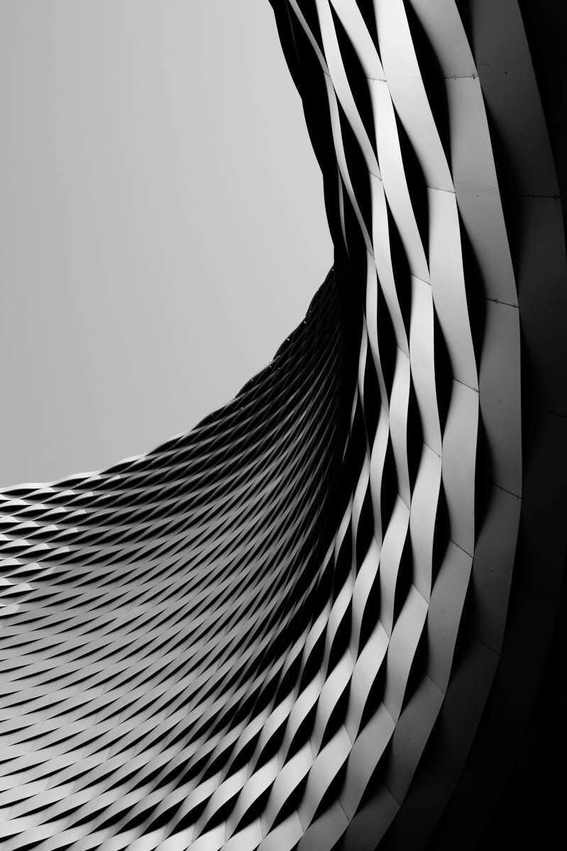 City Snake