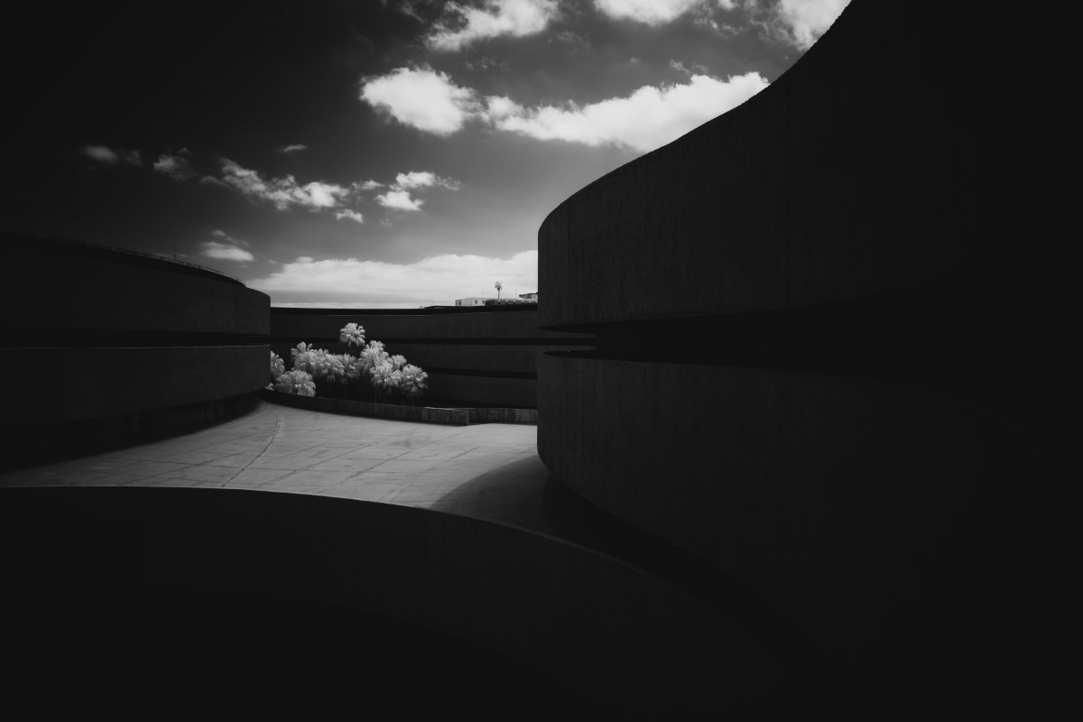 Where Nature Meets Concrete: A Symphony of Balance.