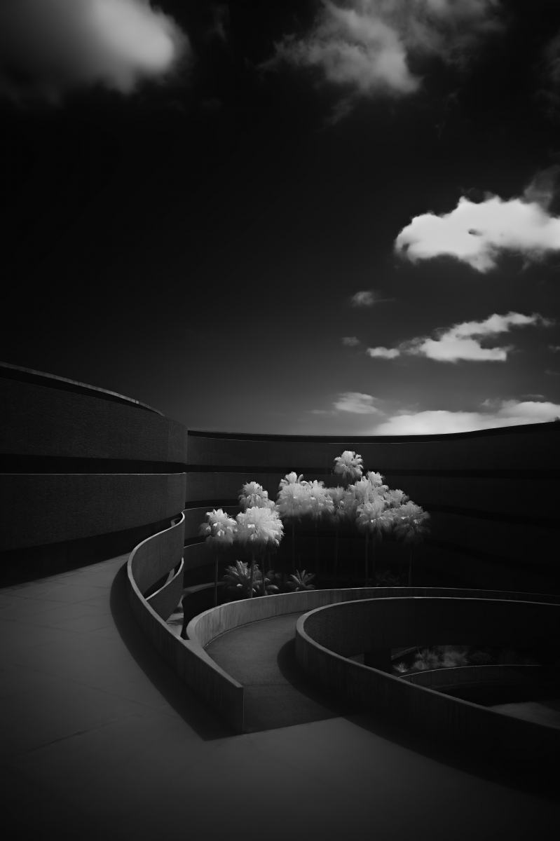 Where Nature Meets Concrete: A Symphony of Balance.