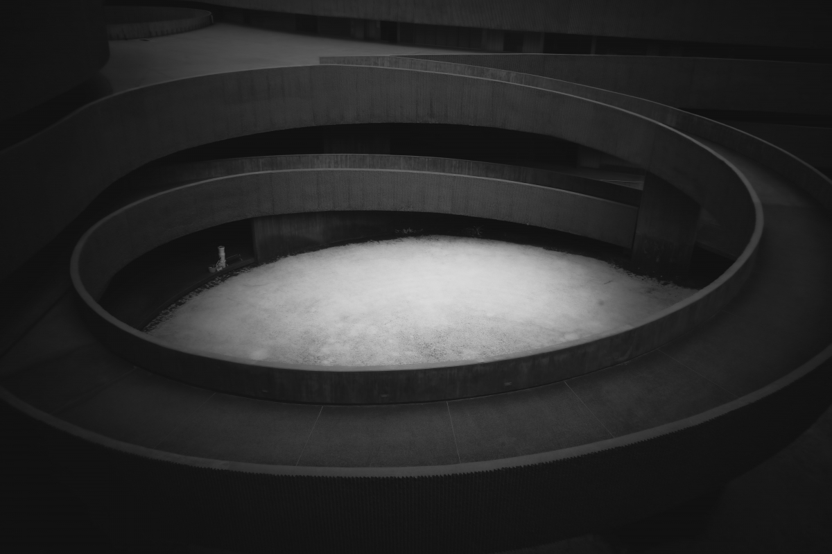 Where Nature Meets Concrete: A Symphony of Balance.