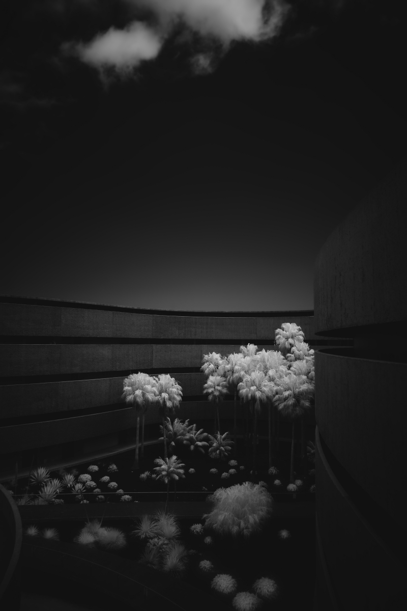 Where Nature Meets Concrete: A Symphony of Balance.