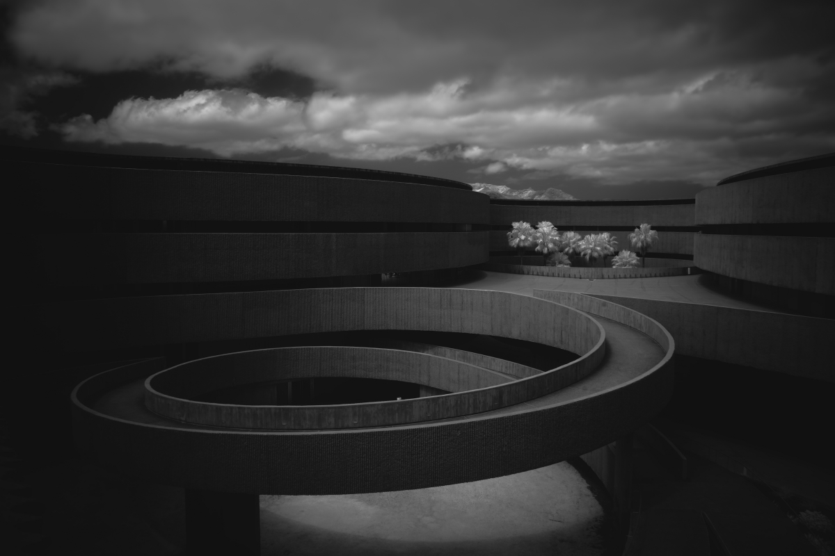 Where Nature Meets Concrete: A Symphony of Balance.