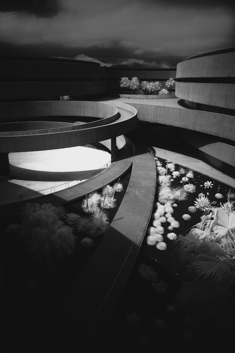 Where Nature Meets Concrete: A Symphony of Balance.