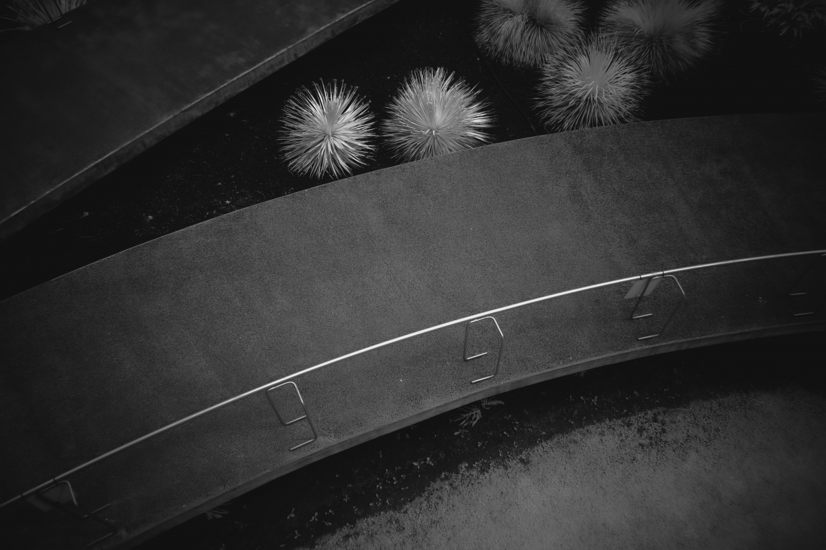 Where Nature Meets Concrete: A Symphony of Balance.