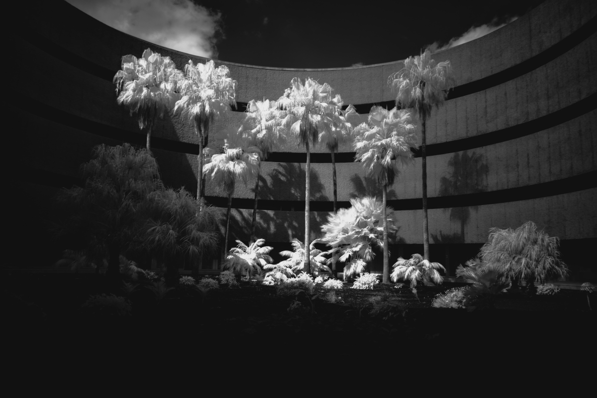 Where Nature Meets Concrete: A Symphony of Balance.