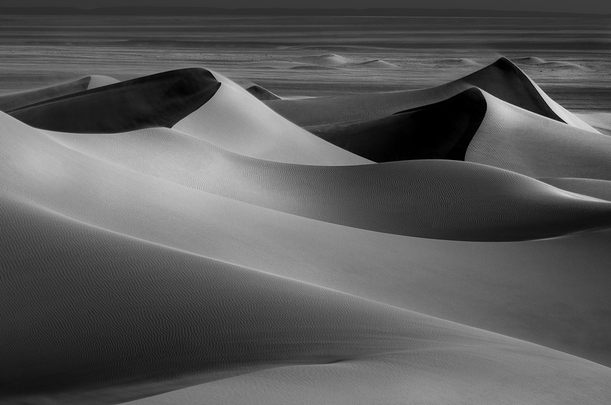     BEAUTÉ SAHARIENNE                                                    Dunes et dromadaires