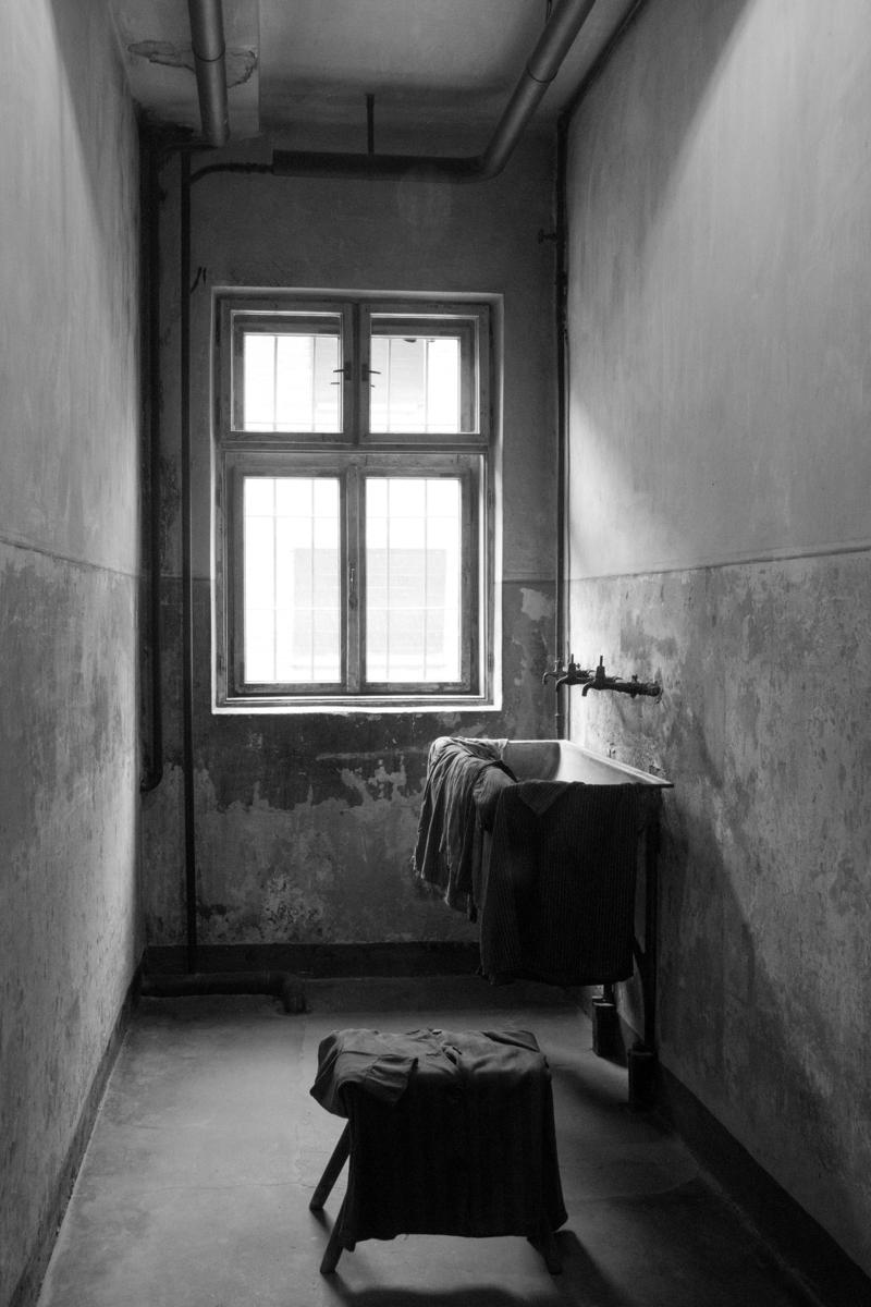 Echoes of Silence