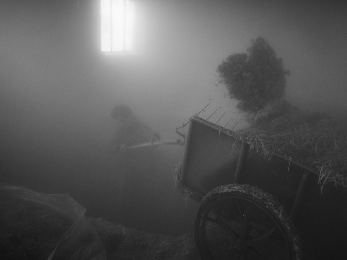 People in the Brewery