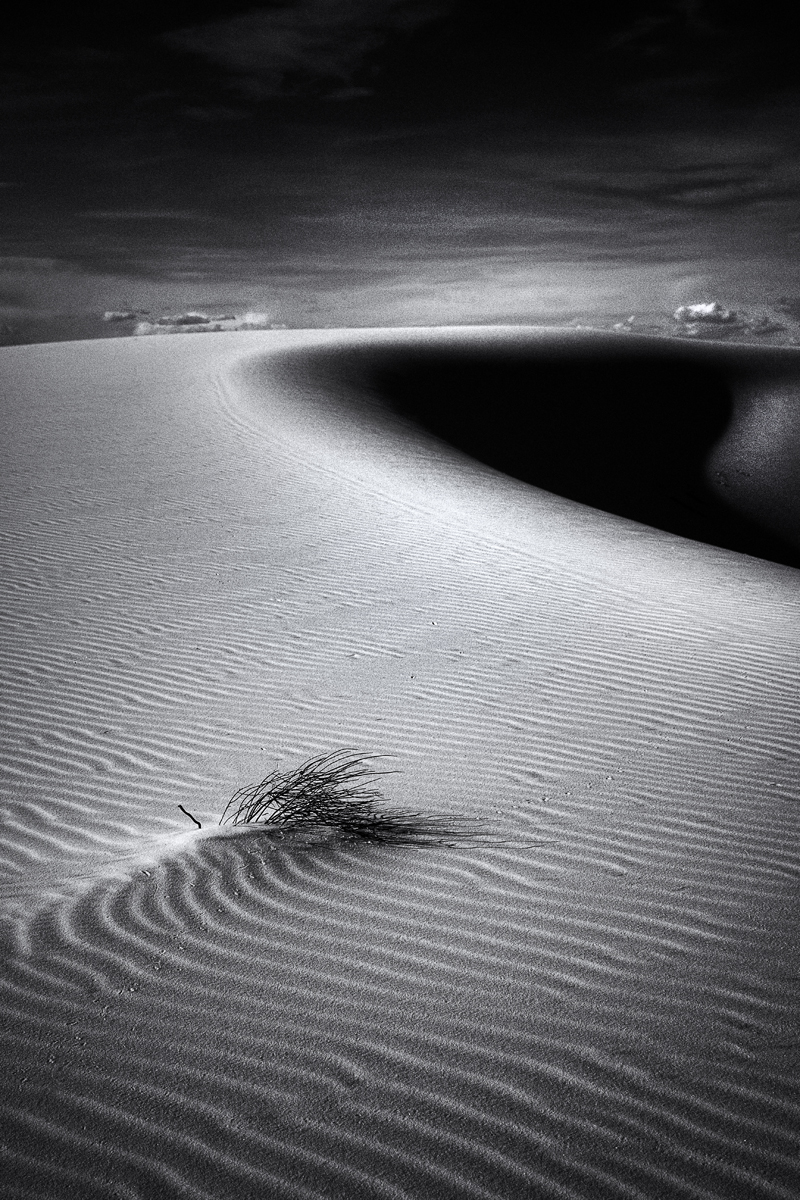 American Desert Road Trip