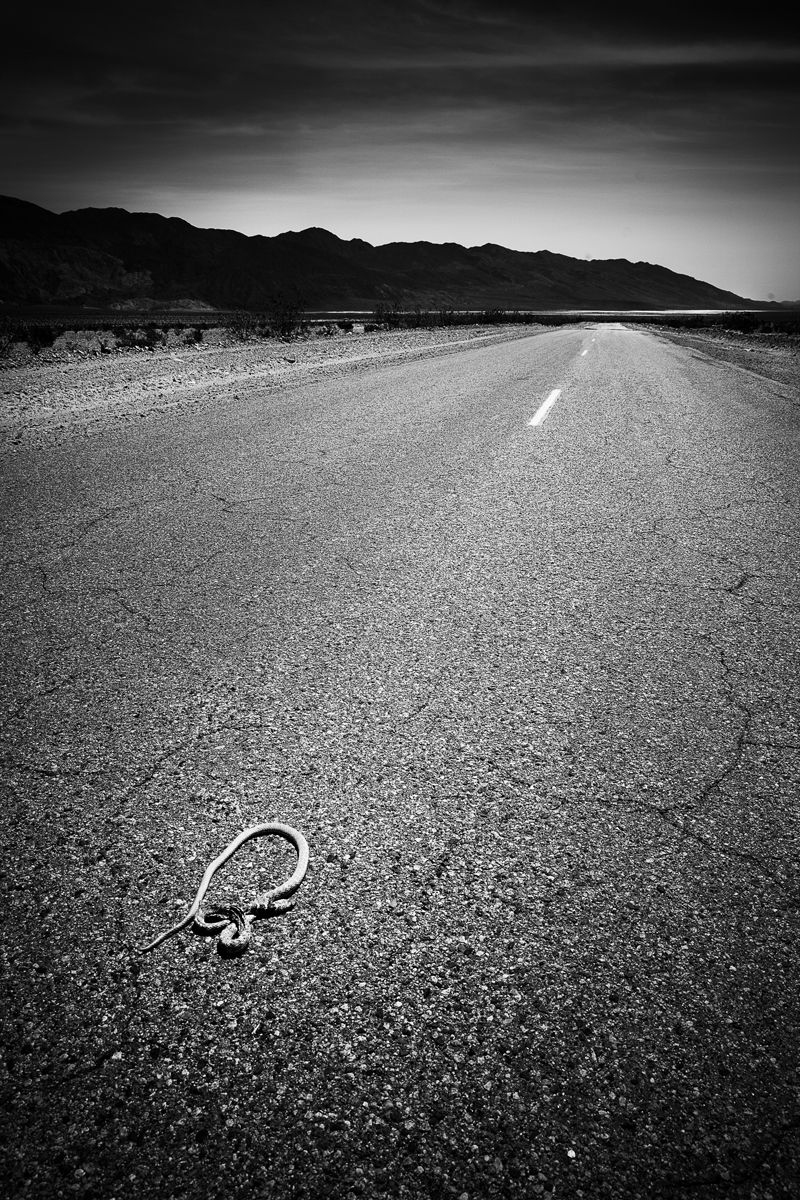 American Desert Road Trip