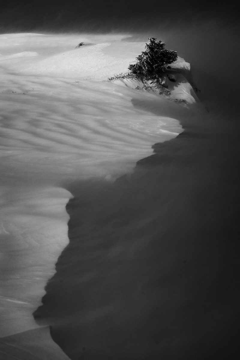 The whispers of winter