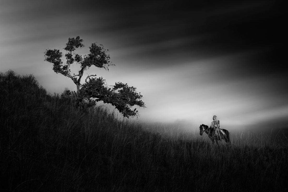 The Sumba Man and His Horse