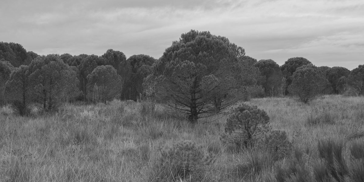 This Last of Meeting Places