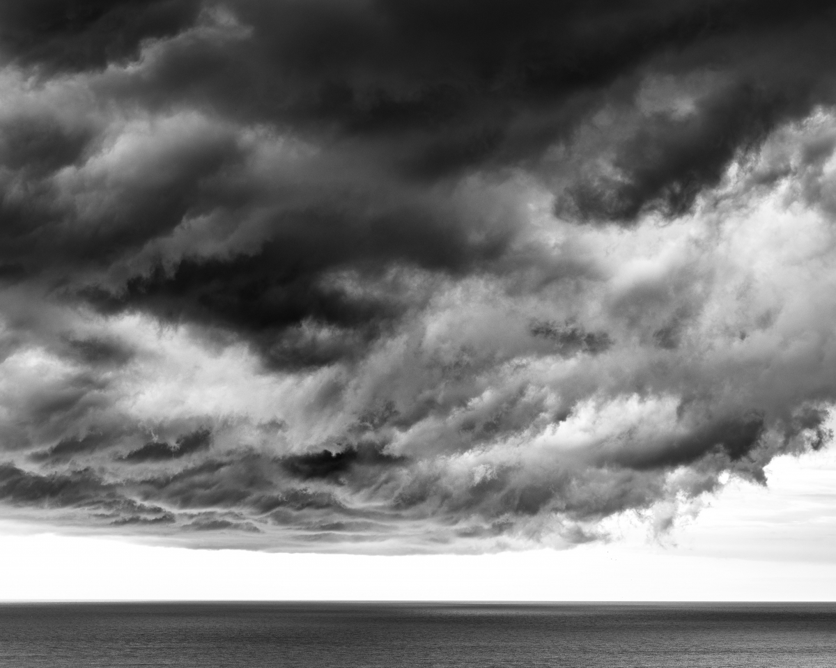 Torrey Pines Natural State Preserve Portfolio 2