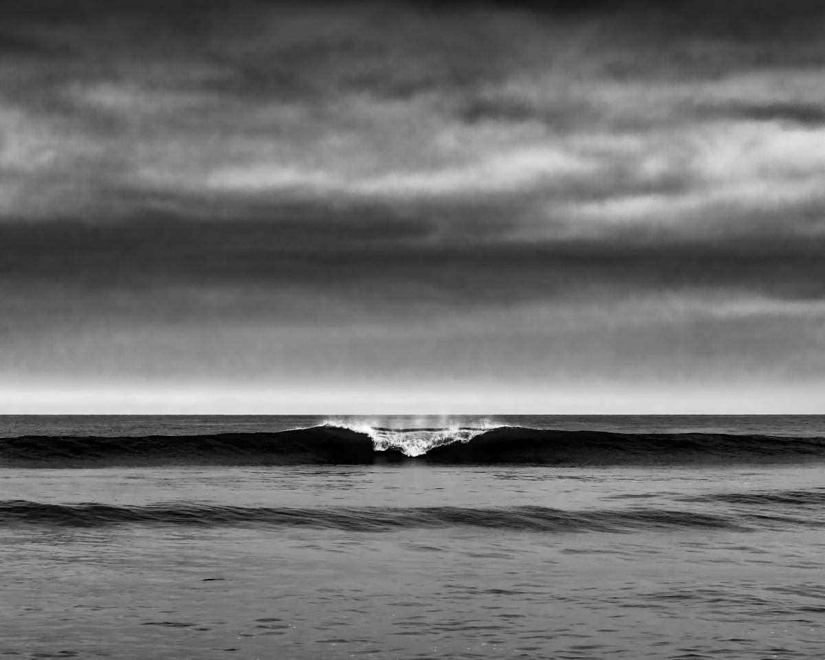 Torrey Pines Natural State Preserve Portfolio 2