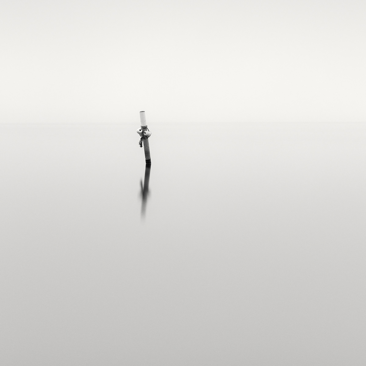 The Fragments of Lake Shore 