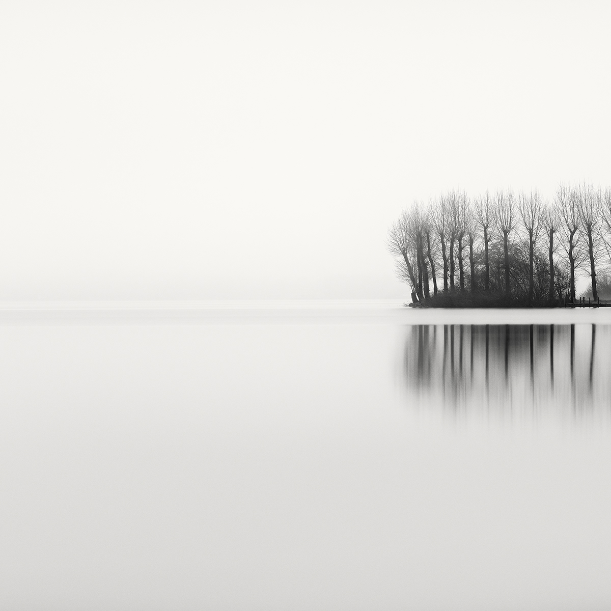 The Fragments of Lake Shore 