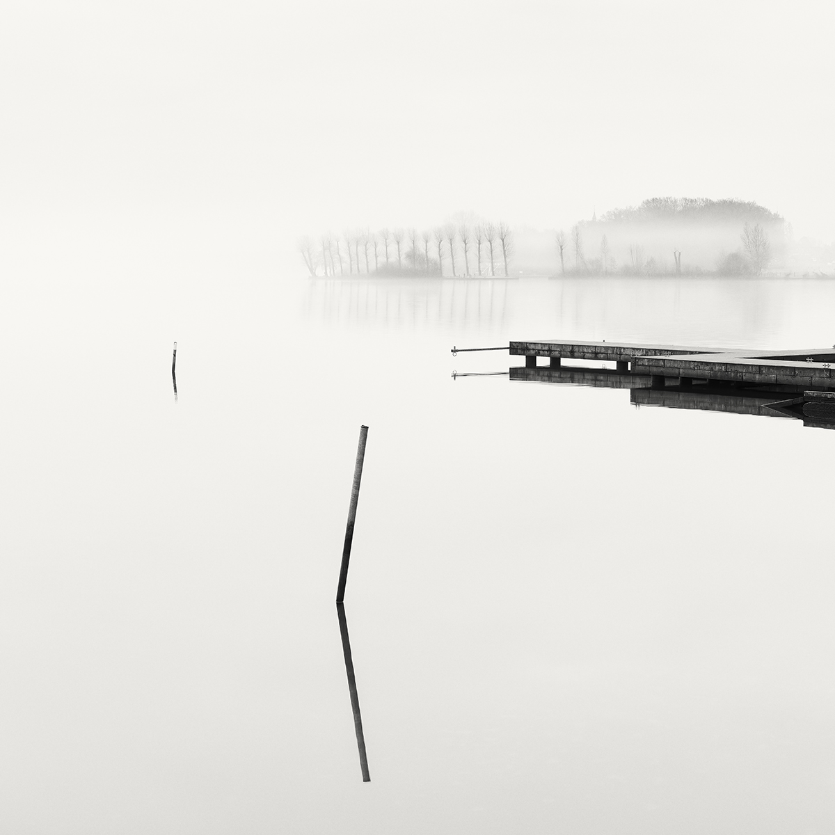 The Fragments of Lake Shore 