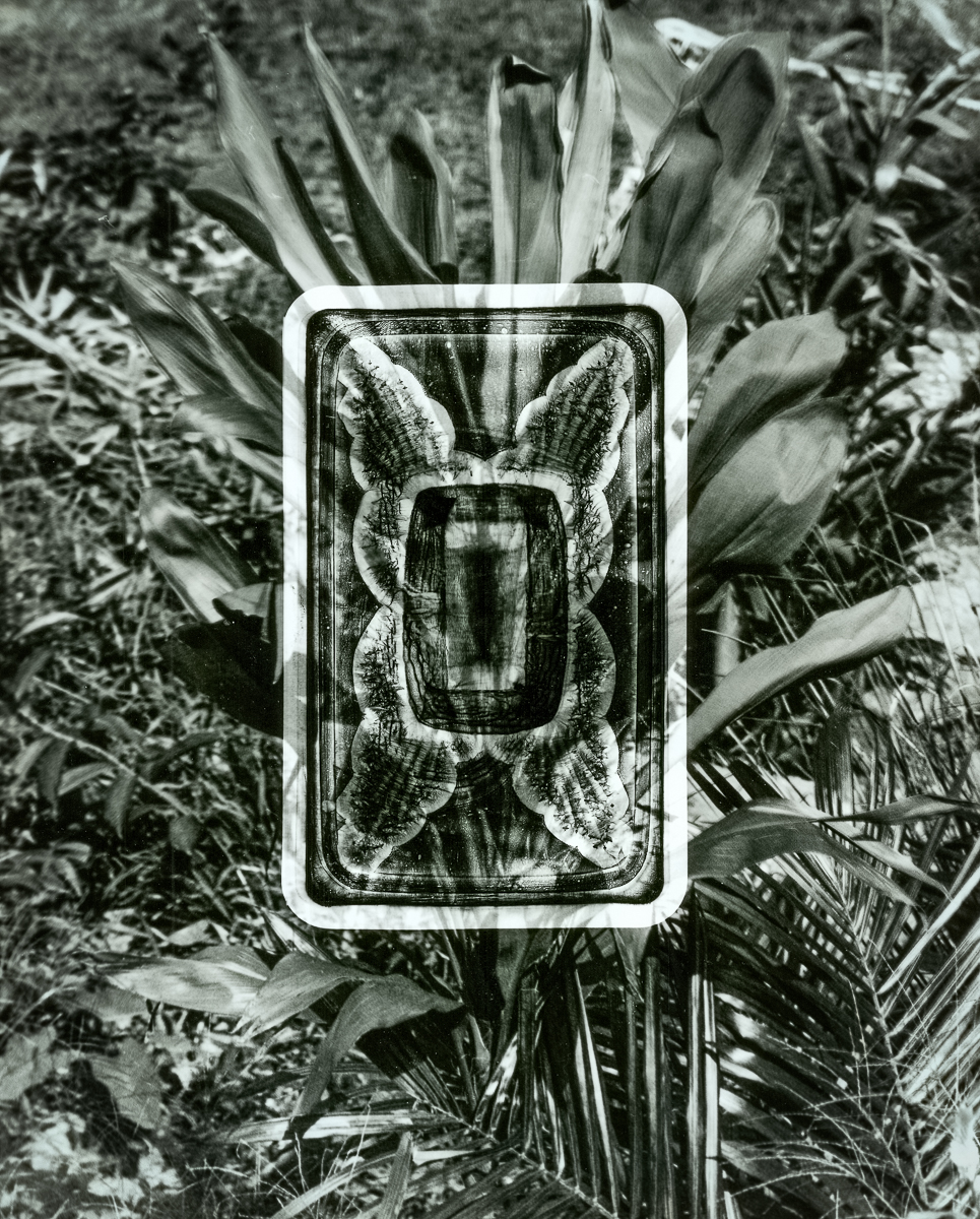 THE WORLD IS AMAZING