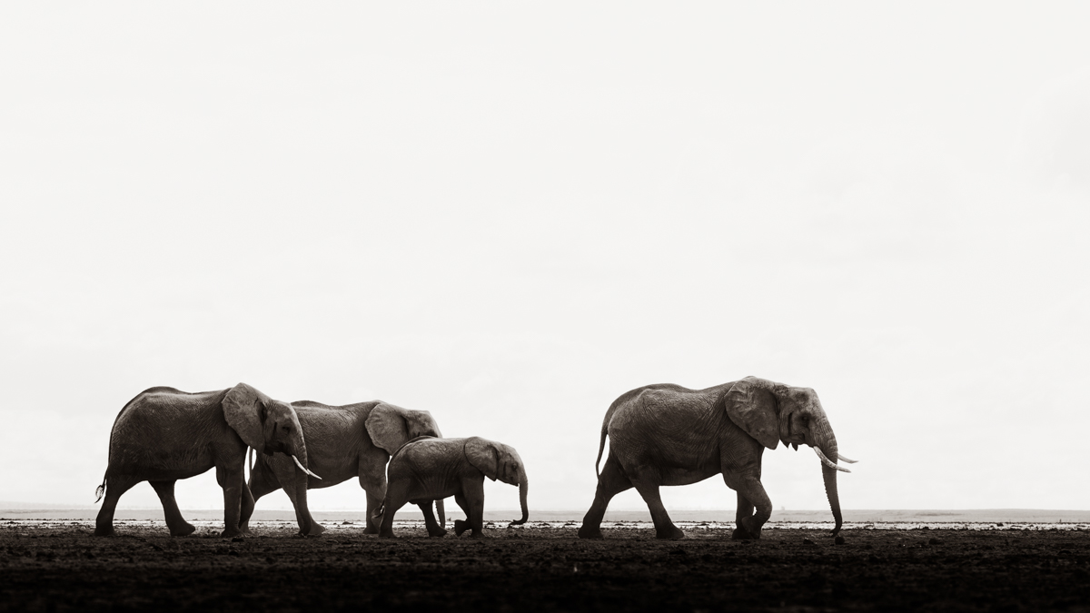 In the Realm of Giants