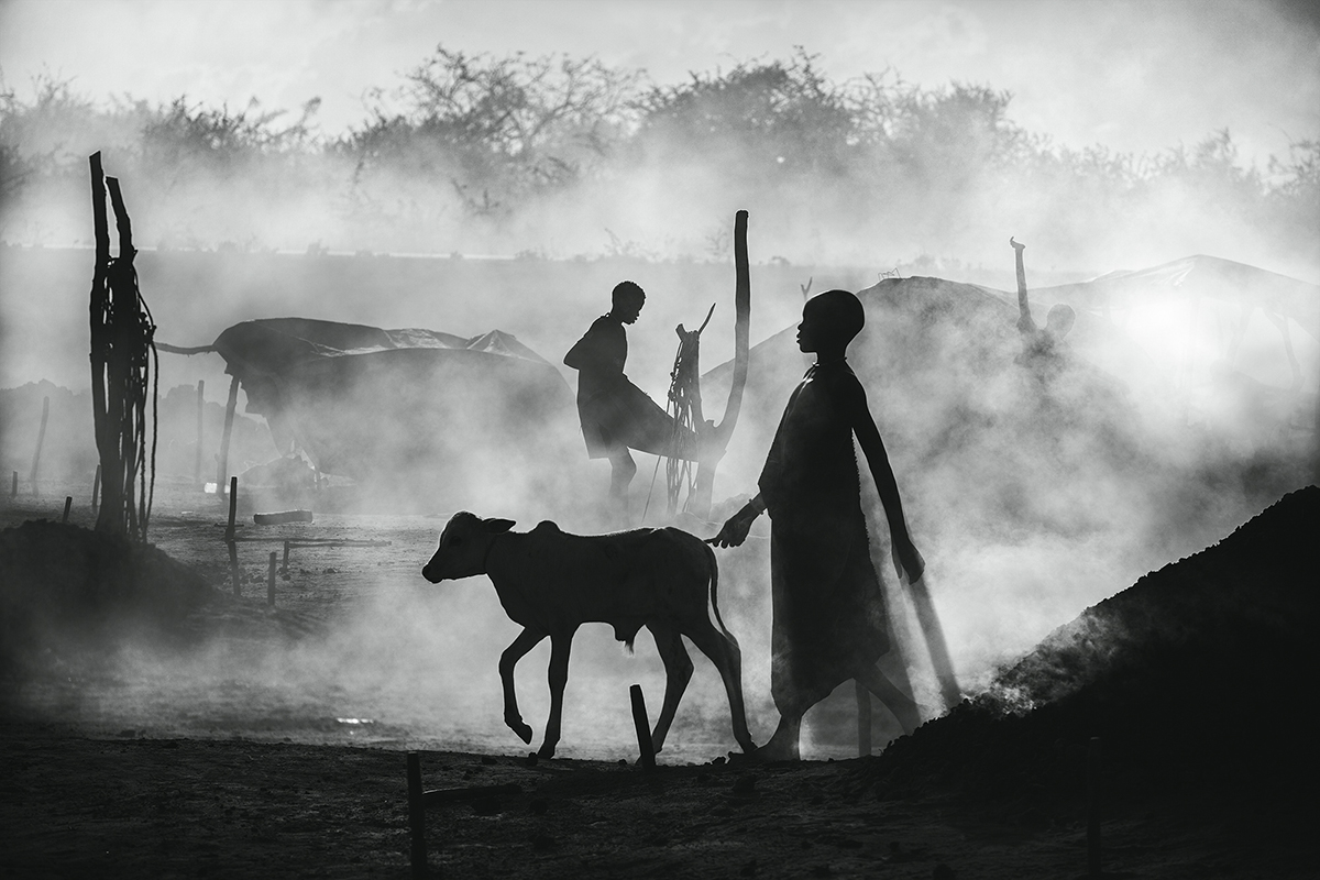 Mundari Shadow