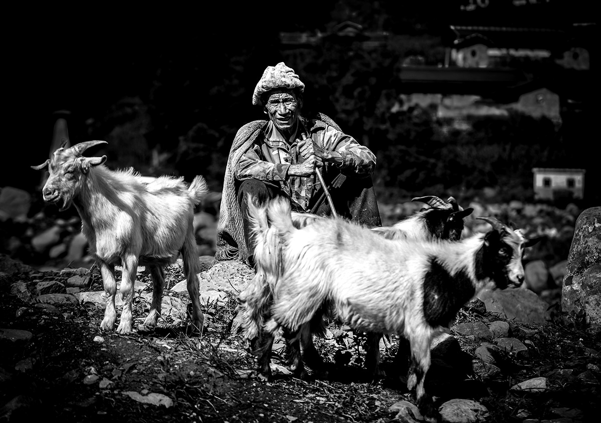 Chinese Minority Romantic Feelings 