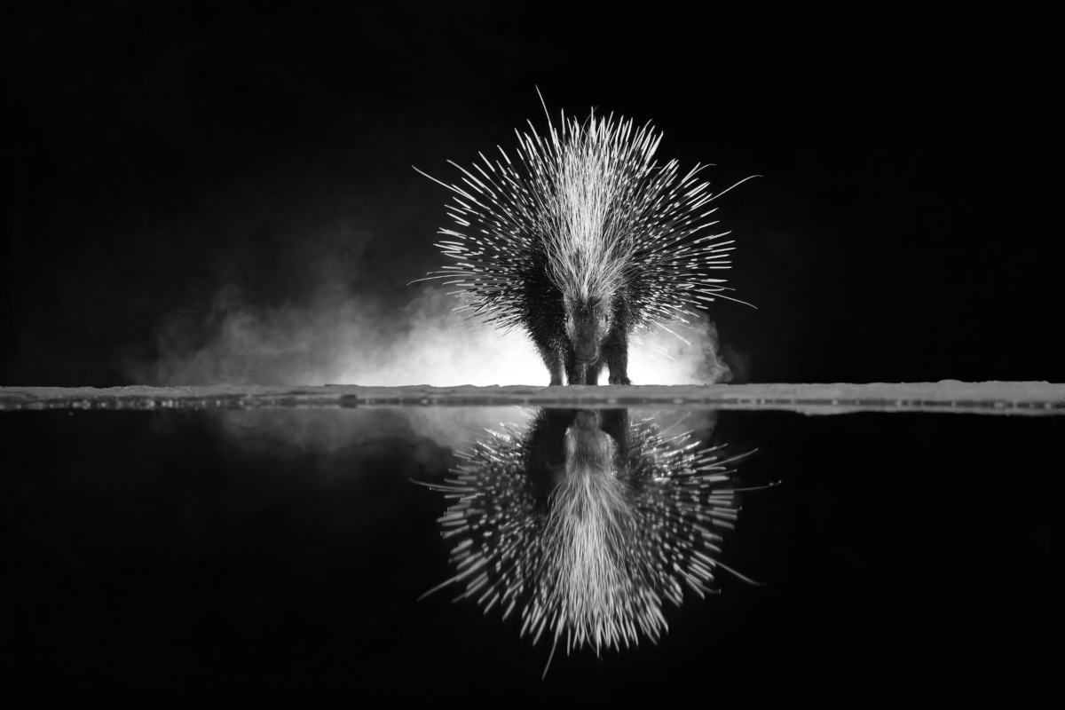 Reflections in the Night 3