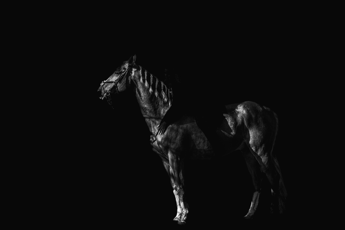 Shadow Rider