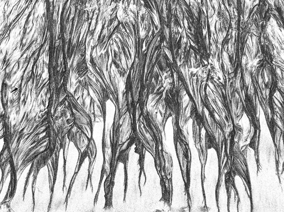 The Ocean is an Artist