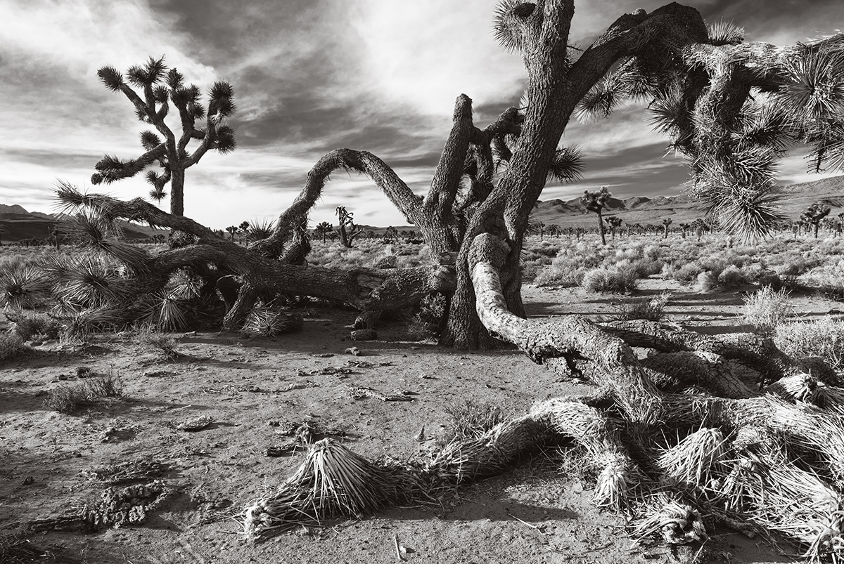 Death Valley National Park