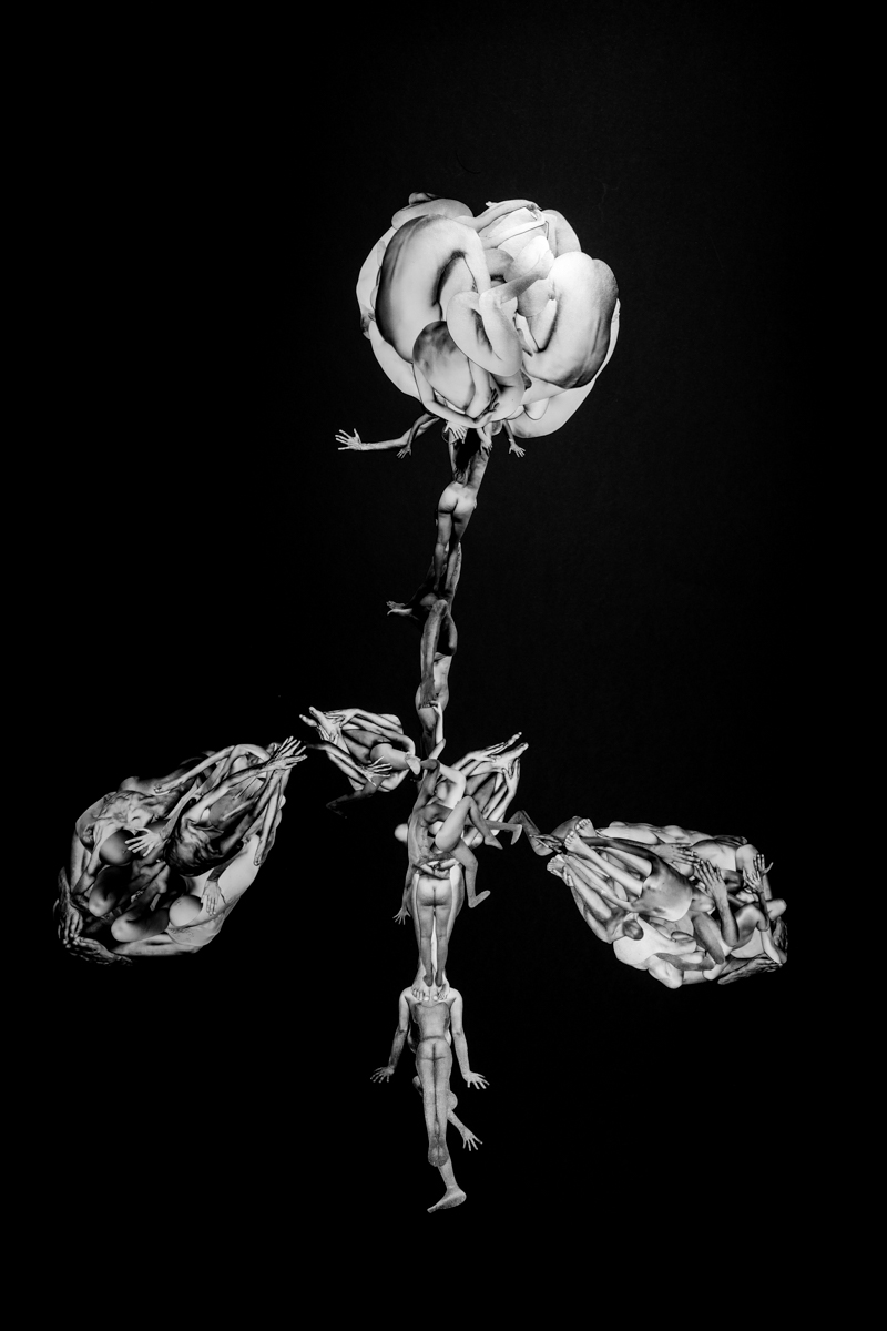 Corpus Floret