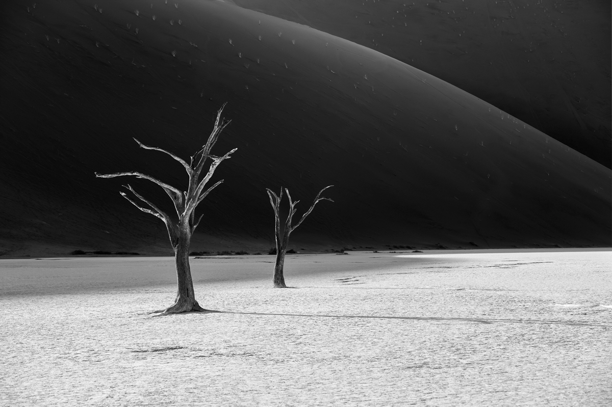 Dust, elegance, time