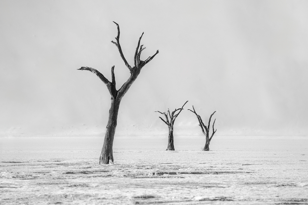 Dust, elegance, time