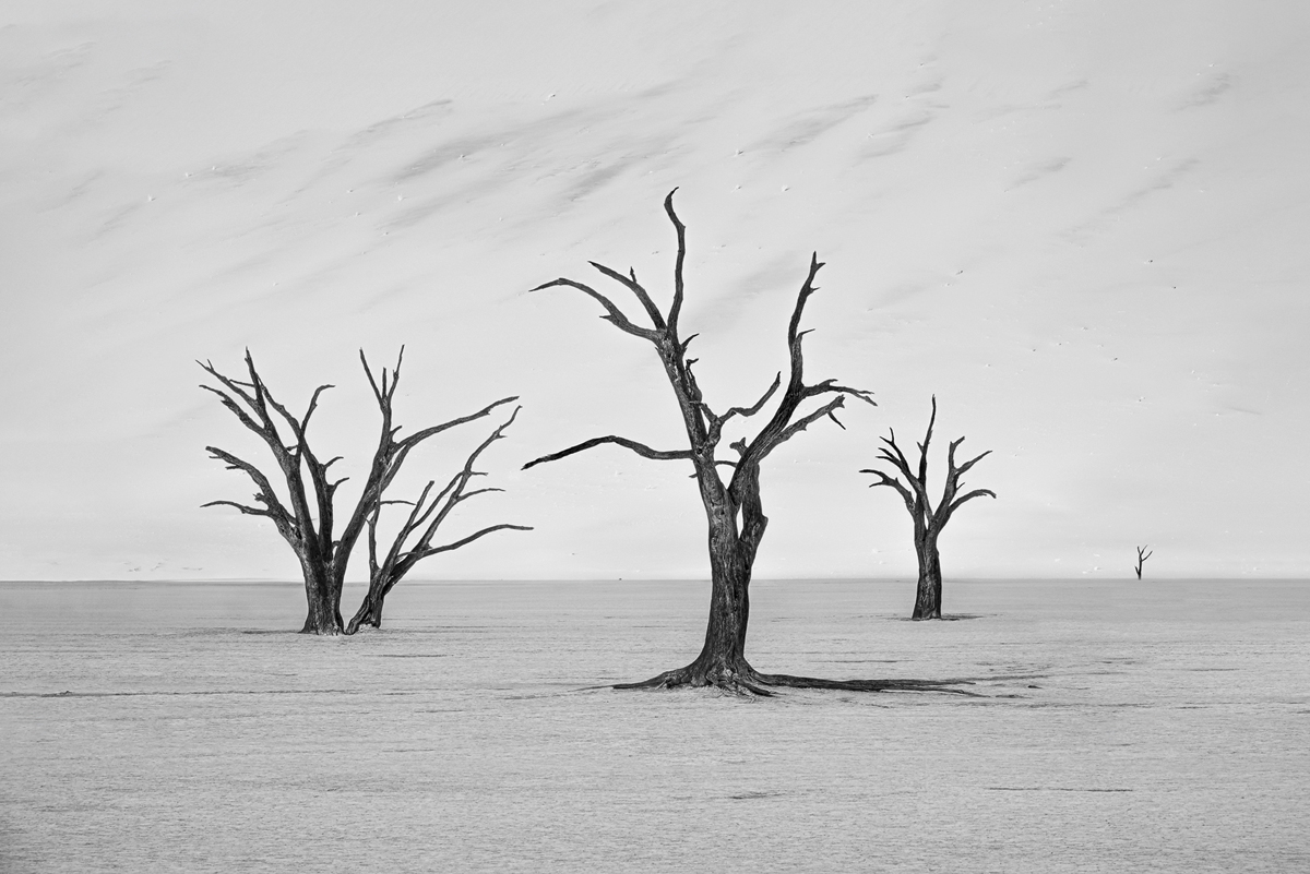 Dust, elegance, time