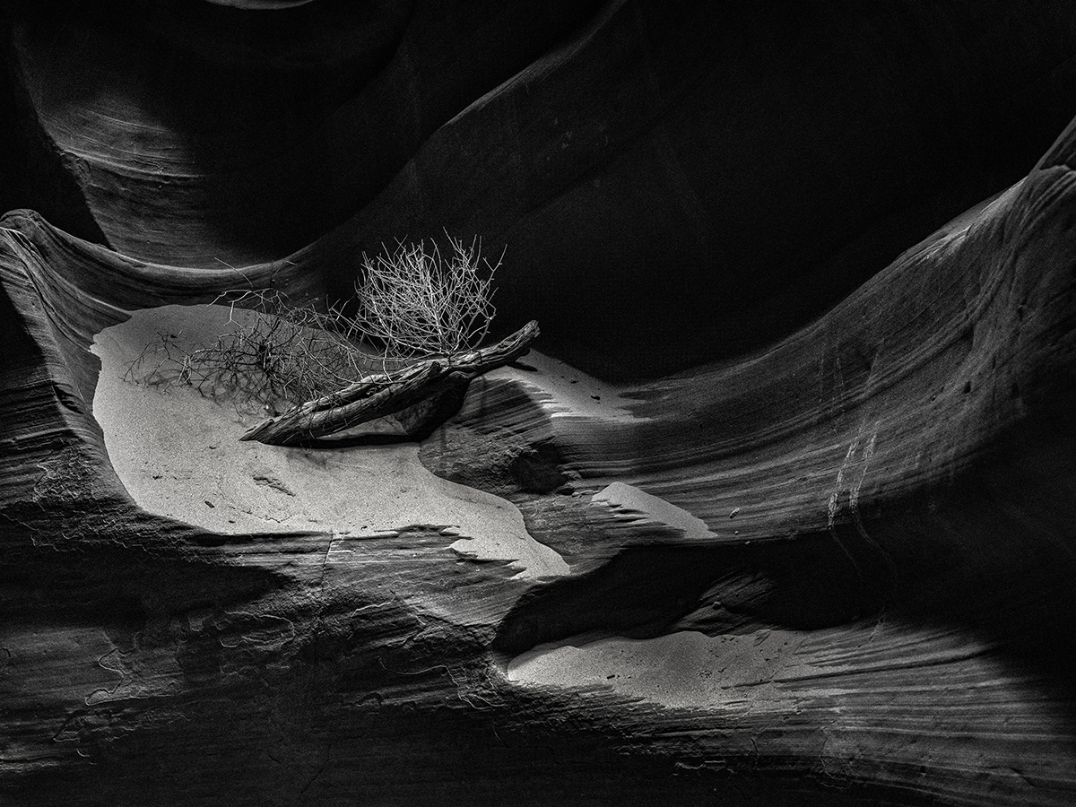 Wondering the Mystic