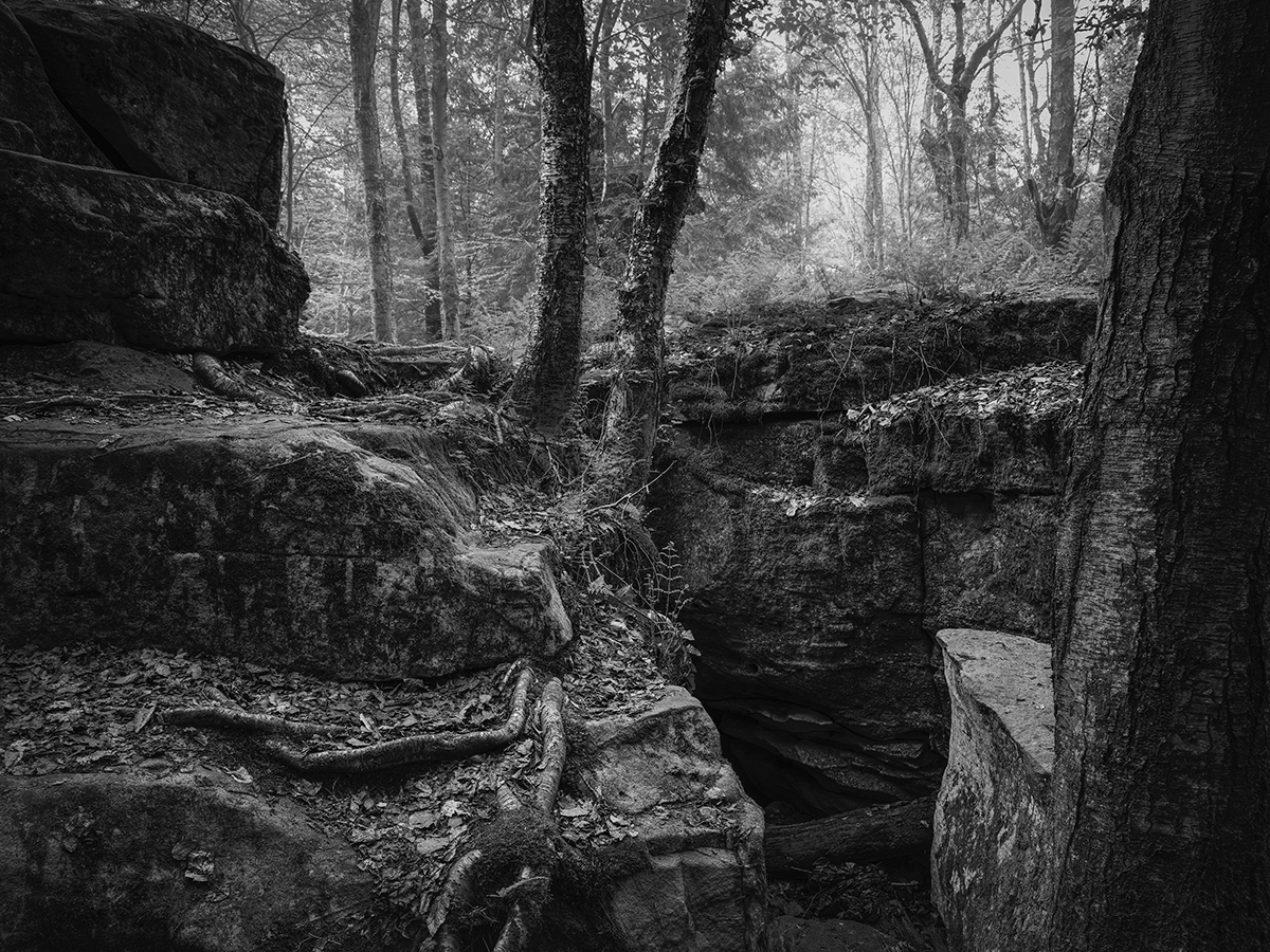 Wondering the Mystic